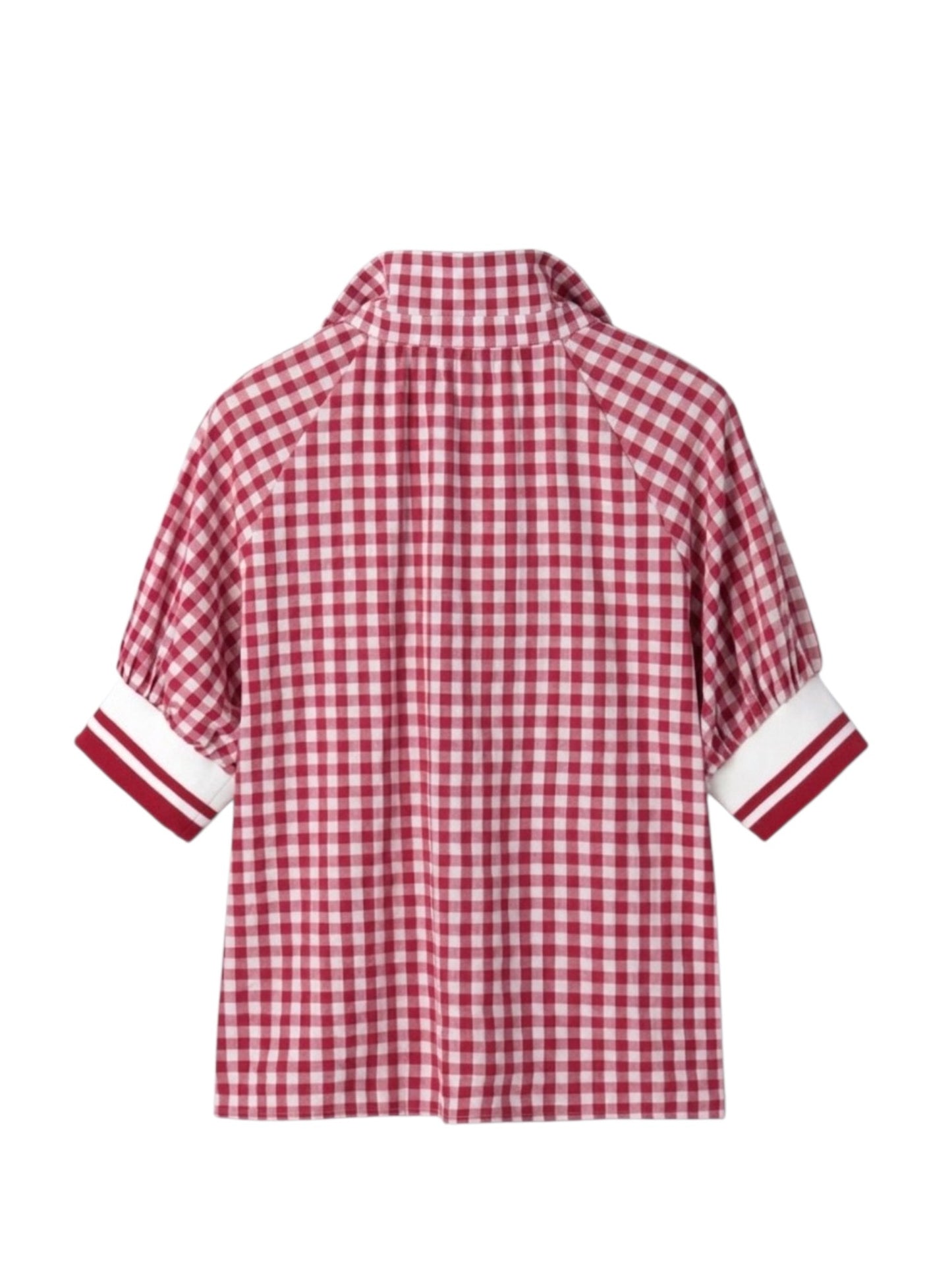 Gingham Check Half-Zip Puff Sleeve Polo Top professional back view
