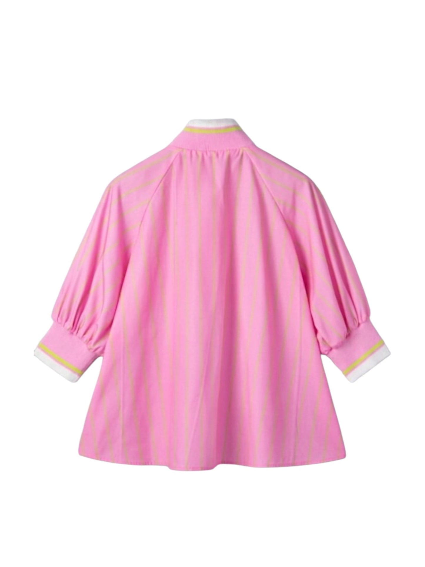 Pink Stripe Half-Zip Puff Sleeve Top professional front view