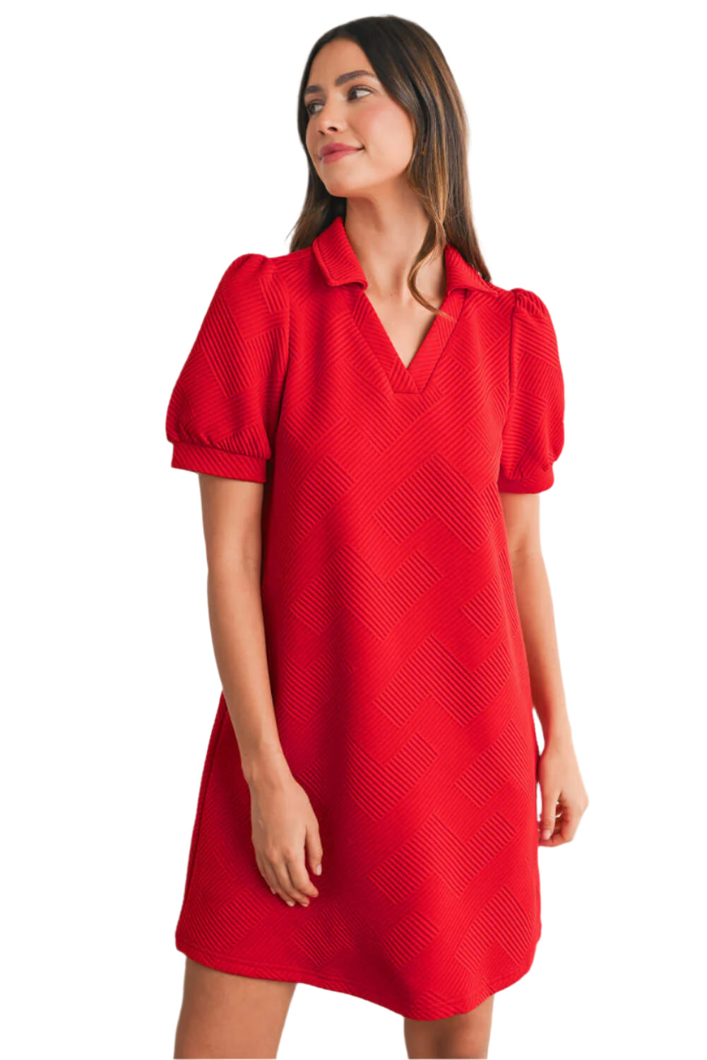 Red Puff Sleeve Dress Women - Catherine Martin. Full view.