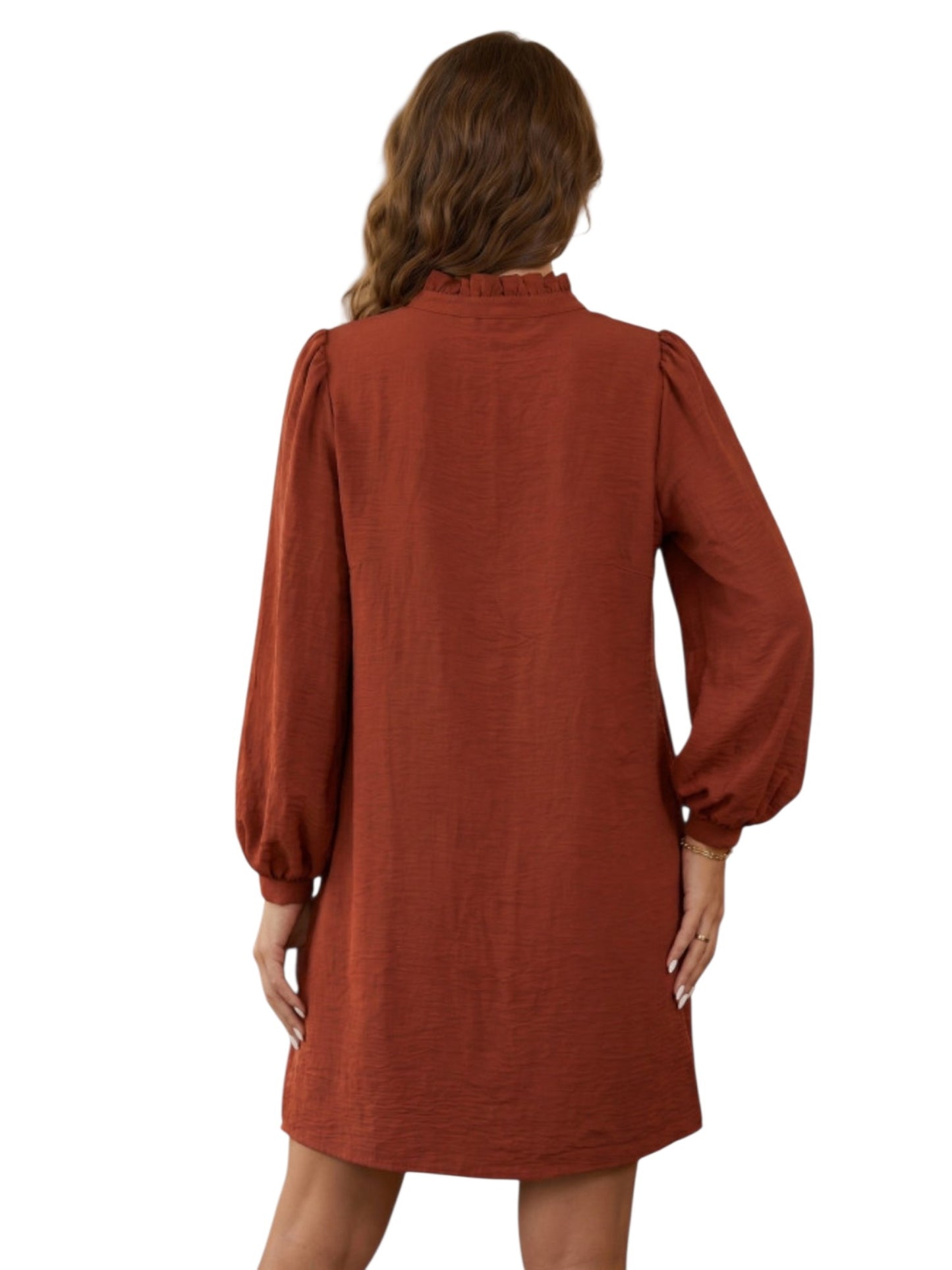 A woman viewed from the back wearing a rust-colored long-sleeve dress with a high gathered neckline and voluminous sleeves, set against a plain white background.